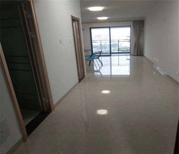 公明村委統建樓:蔣石花園