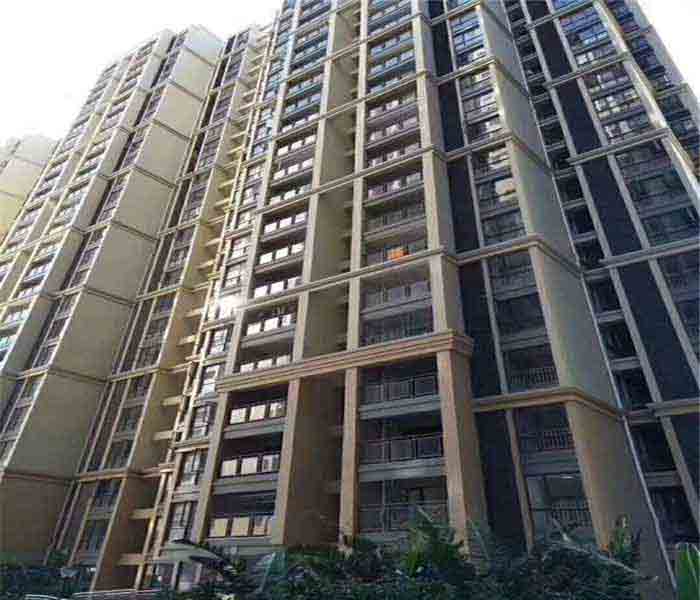 公明村委統建樓:蔣石花園