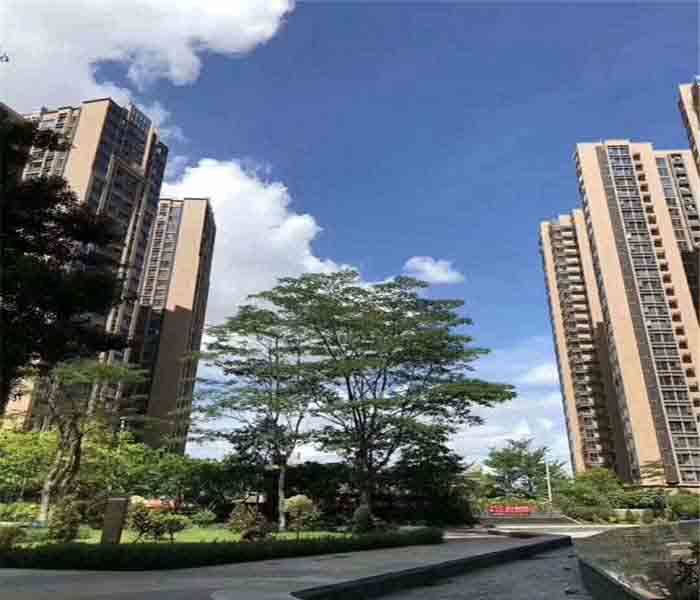 松崗村委統建樓:匯豐花園