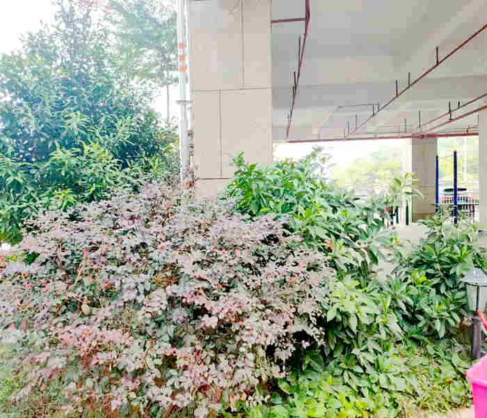 龍華最新小產(chǎn)權(quán)房:石巖國(guó)際3棟花園小區(qū)房